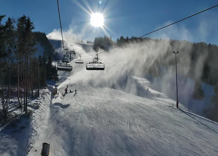 Edelweiss Appartements 'MUSENBERG' deluxe - inkl Wellness-Spa und MeineCardPlus